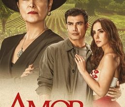 Amor Amargo Capitulo